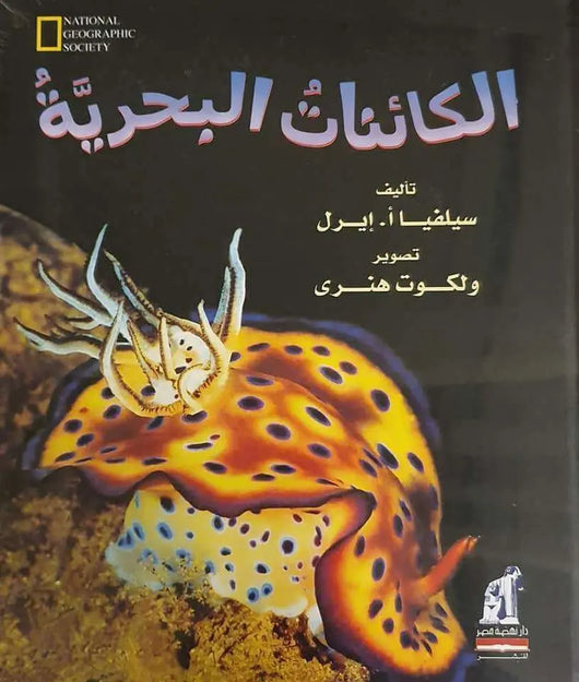 الكائنات البحرية - ArabiskaBazar - أرابيسكابازار