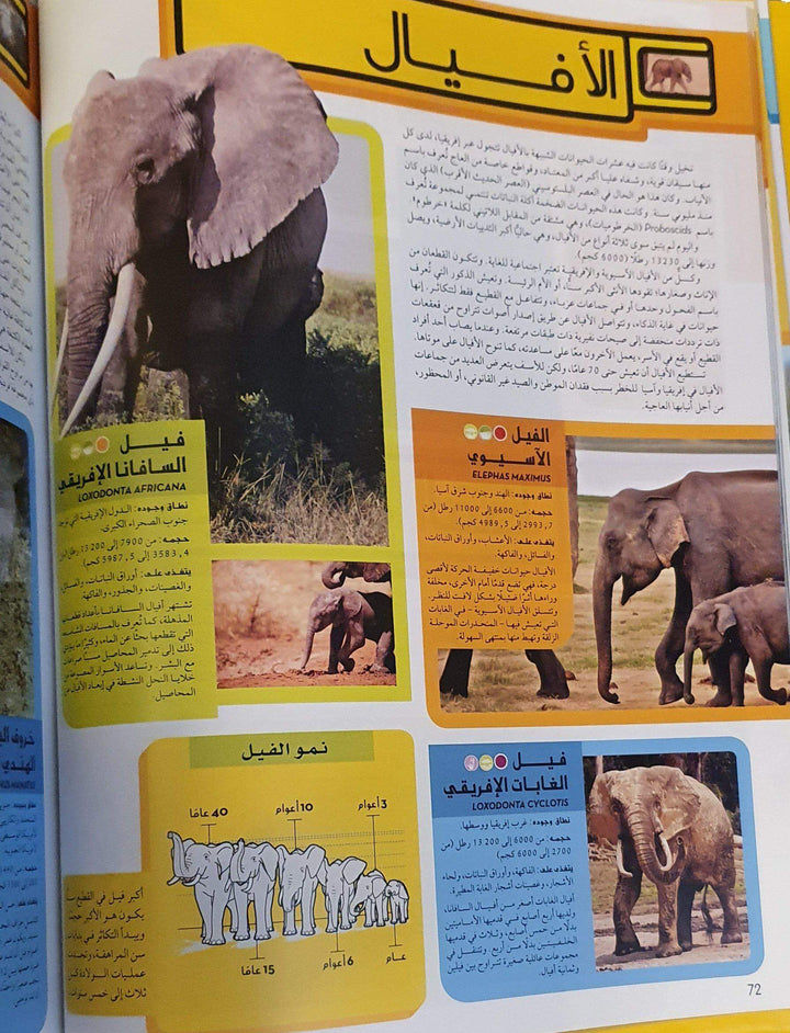 موسوعة الحيوانات - ArabiskaBazar - أرابيسكابازار